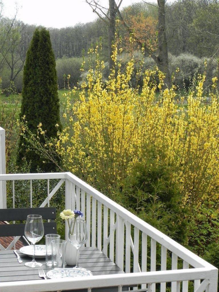 Gustow  Ferienwohnung-Nils-Holgerson-Mit-Balkon-Zwischen-Strand-Wald-Wiese-Im-Suedosten-Der-Insel-Ruegen מראה חיצוני תמונה
